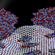 Illustration for article titled Graphene's Newest Trick Is Fighting Deadly Blood Clots